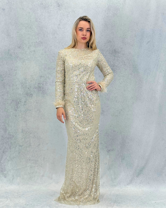 Pul Payet İşlemeli Uzun Abiye Elbise