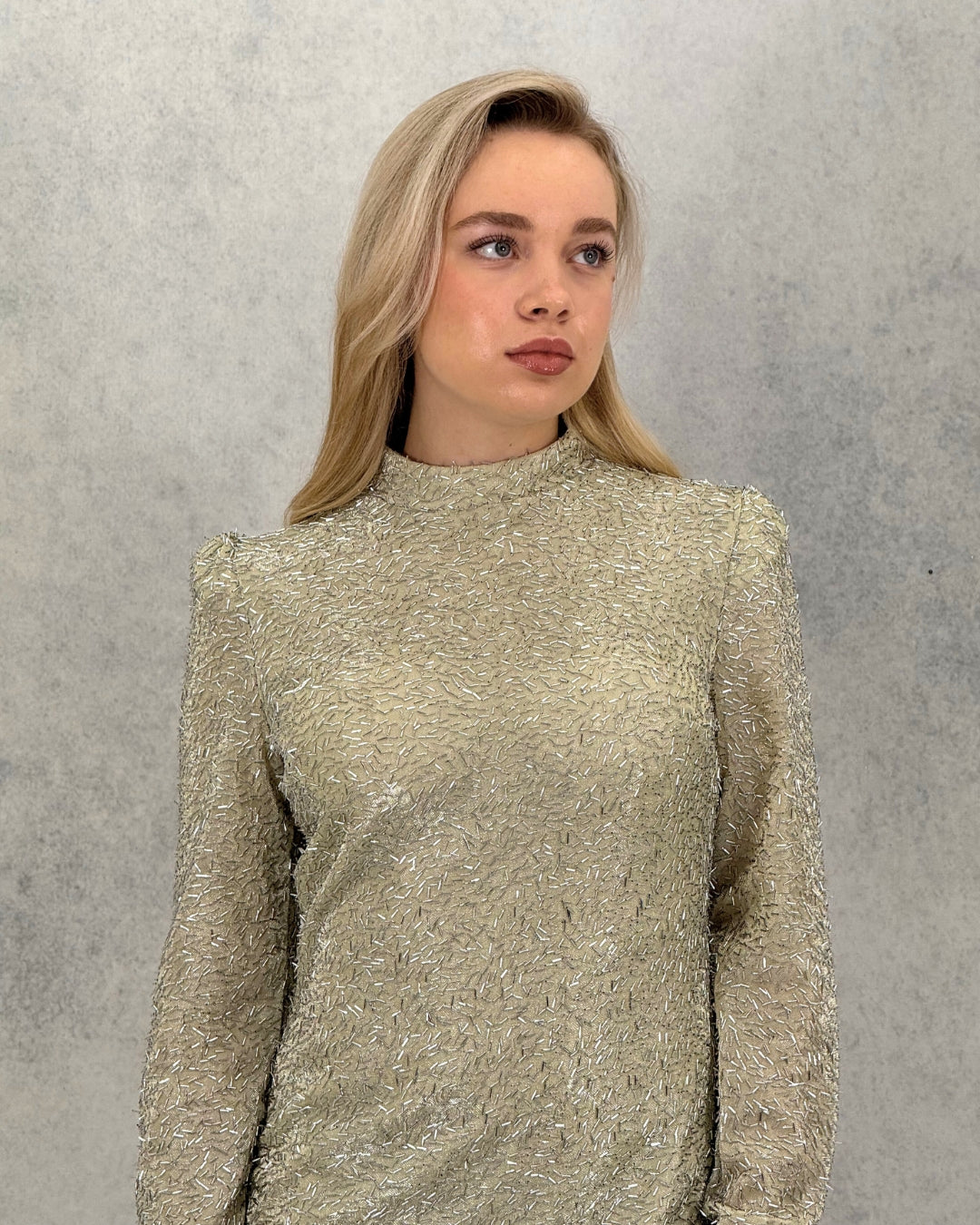 Glitzerndes, steinfarbenes, langes Abendkleid
