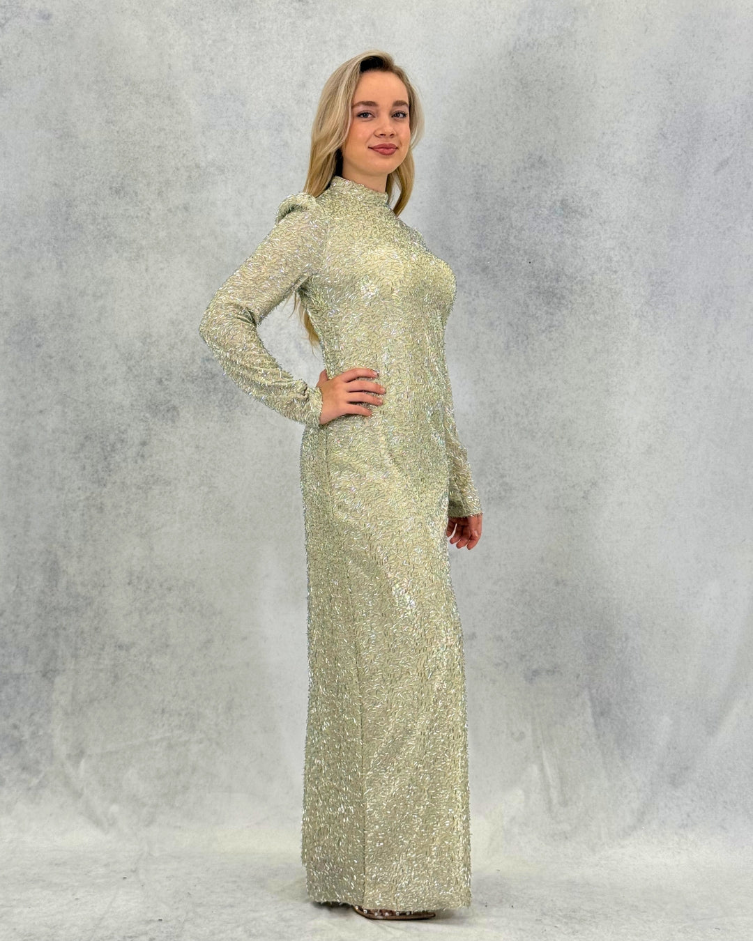Glitzerndes, steinfarbenes, langes Abendkleid