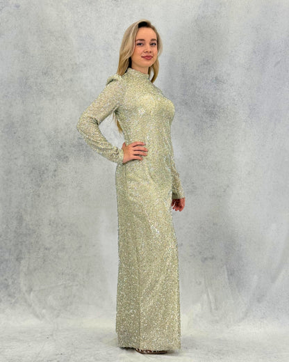Glitzerndes, steinfarbenes, langes Abendkleid